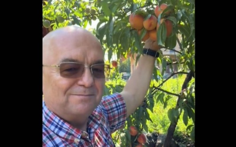 Emil Boc, surpriză dulce din grădina proprie: „Când culegi primele piersici bune…No, așa da!”