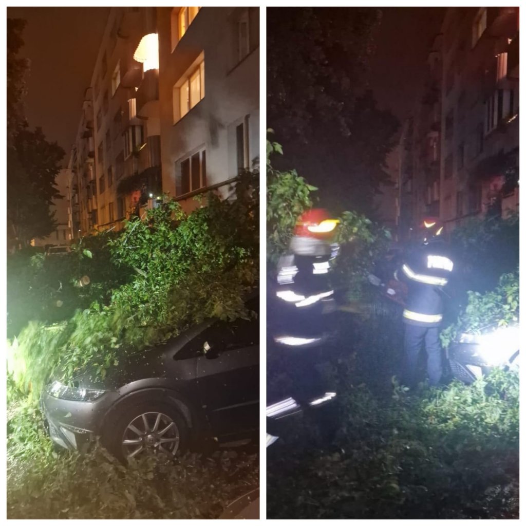Copaci căzuți peste mai multe mașini în Cluj-Napoca. Municipiul, sub cod galben de averse