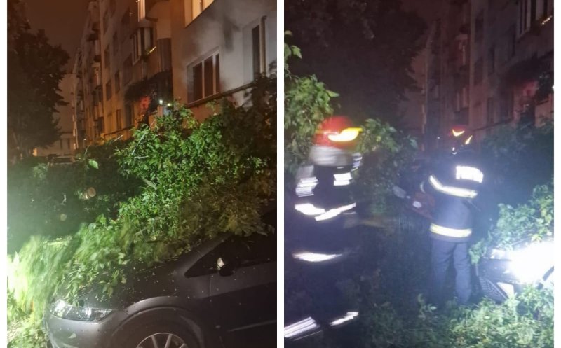 Copaci căzuți peste mai multe mașini în Cluj-Napoca. Municipiul, sub cod galben de averse
