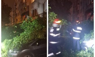 Copaci căzuți peste mai multe mașini în Cluj-Napoca. Municipiul, sub cod galben de averse