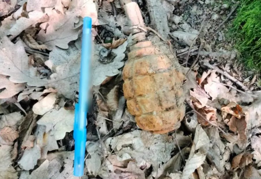 Descoperire periculoasă într-o pădure din Cluj. O grenadă a fost găsită întâmplător de un localnic