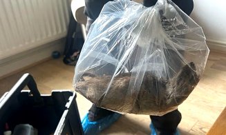 Șobolan gigant, mare cât un câine, prins într-o locuință / Șoc și dezgust după ce fotografia cu rozătoarea de 55 cm a fost postată pe internet