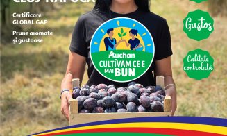 Savurează gustul verii cu fructe și legume gustoase românești, direct din filierele Auchan, acum în magazine