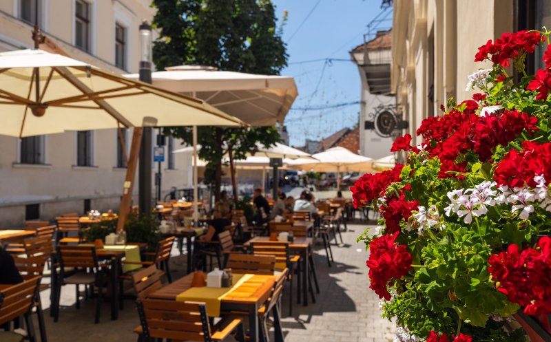 „Greii” afacerilor românești din Cluj. Vezi TOP 10 companii din județ