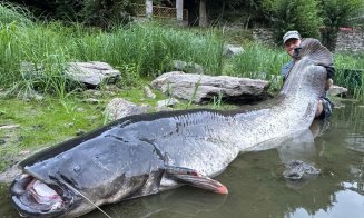 De necrezut! Un pescar a scos la mal un somn uriaș de aproape 3 metri, după o oră de luptă