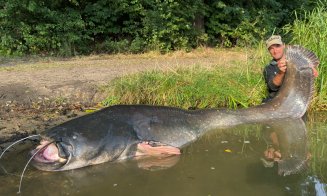 De necrezut! Un pescar a scos la mal un somn uriaș de aproape 3 metri, după o oră de luptă