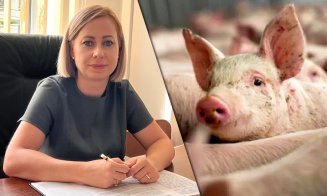 Ce mesaj a trimis DSVSA prefectului Clujului după depistarea focarului de pestă porcină africană într-o comună din județ