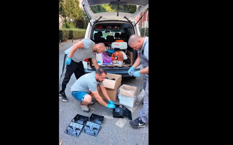 Acțiuni de combatere a șobolanilor la Cluj-Napoca