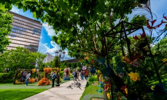 25 ani de evenimente memorabile în rețeaua Iulius Mall și proiectele de regenerare urbană Palas Iași și Iulius Town Timișoara