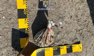 Hoții clujeni de la „deratizare” au furat 30.000 de euro din casa unui bătrân. Unde au ascuns banii după jaf