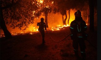 Țara care îi ”arde” pe piromani cu legea: Închisoare cu executare, amenzi de 200.000 de euro și confiscarea bunurilor