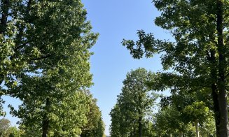 Parc de 52.000 de metri pătrați in viitorul RIVUS Garden