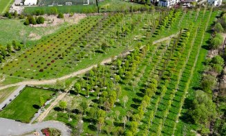 Parc de 52.000 de metri pătrați in viitorul RIVUS Garden