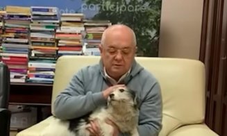 Clujenii care vin la Primărie vor putea fi însoțiți de animalele de companie
