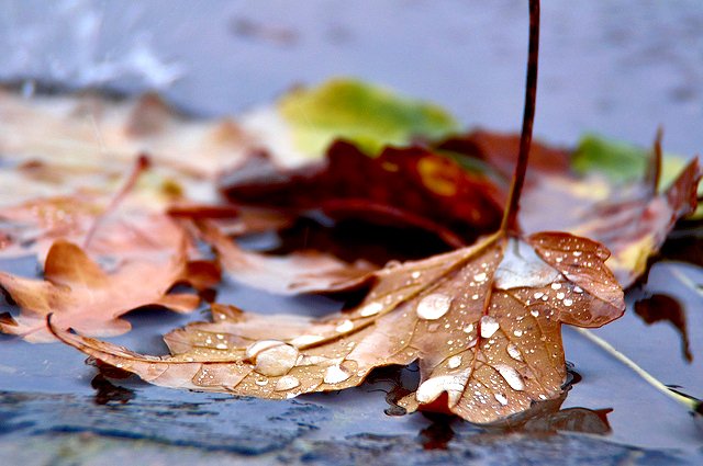 METEO: Scad temperaturile în Cluj. Ploi și în weekend