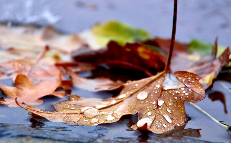 METEO: Scad temperaturile în Cluj. Ploi și în weekend