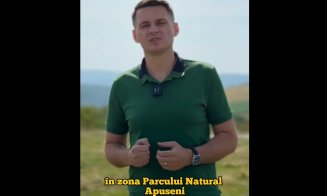 Mircea Abrudean avertizează: „Mii de hectare de pădure se usucă în Apuseni, iar legea ne ține legați de mâini”