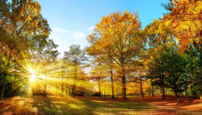 Meteorologii au actualizat prognoza pe septembrie. Cât mai țin ploile/ Cu ce temperaturi începe luna octombrie