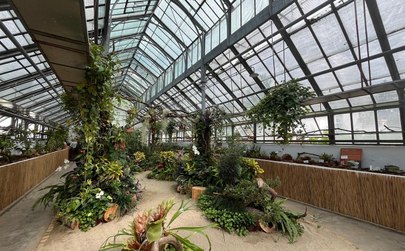 Ultima zi în care poți vizita expoziția de plante carnivore de la Grădina Botanică din Cluj