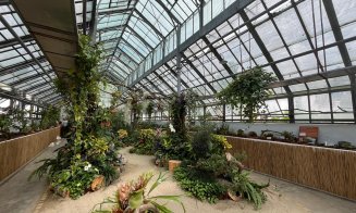 Ultima zi în care poți vizita expoziția de plante carnivore de la Grădina Botanică din Cluj