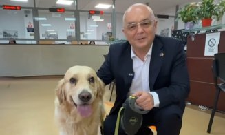 Clujul, mai pet-friendly de astăzi! Emil Boc a venit cu cățelul la Primărie:"E un semn de respect, de civilizație"