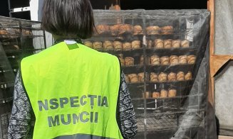ITM Cluj, controale la firmele de pază și protecție: 15 sancțiuni și o amendă de 1.500 de lei