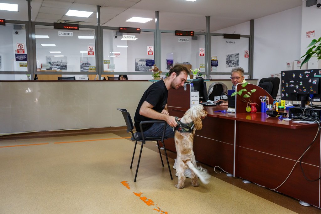 Clujul, oraș european: Cetățenii, cu pisicile și câinii la Primărie