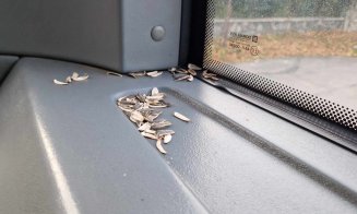 Fără nespălați și fără mâncători de semințe în autobuzele CTP / Primărița din Apahida, Cristina Belce, nu se lasă până nu impune siguranța și respectul