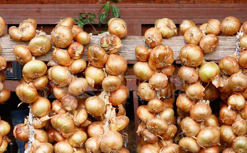 Festivalul Cepei 2025 – Produse tradiționale, jocuri ardelenești și multă voie bună într-o comună din Cluj