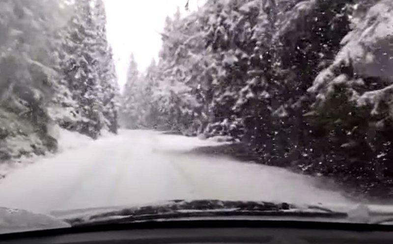 Ninge ca-n povești, la sfârșit de septembrie, lângă Cluj
