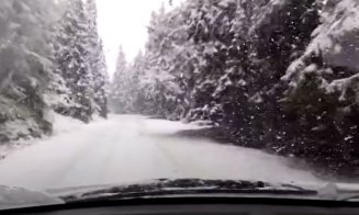 Ninge ca-n povești, la sfârșit de septembrie, lângă Cluj