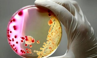 Unde a fost descopertă BACTERIA UCIGAȘĂ în spitalul Sf. Maria / Infecția nu a fost raportată la timp