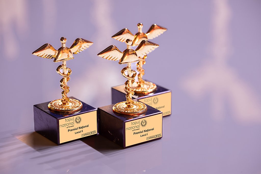 TNF 2025: Cifra de afaceri a celor mai performante companii din România depășește 287 miliarde euro