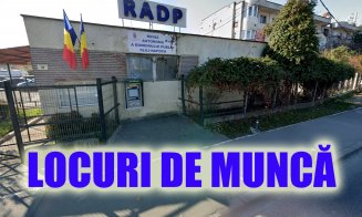 ANGAJĂRI în Cluj-Napoca: Se caută oameni pentru mai multe posturi disponibile la RADP