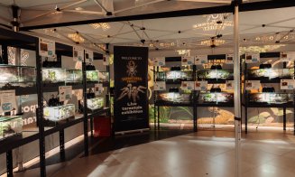 Experiențe unice pentru întreaga familie, la Iulius Mall: șah și expoziție de tarantule și reptile vii