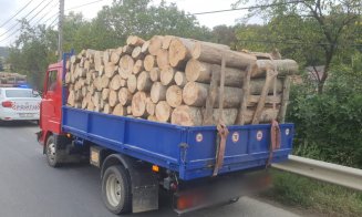 Transporturi ilegale de lemn, depistate la Cluj. Poliția a dat amenzi grele și a confiscat peste 4,4 mc