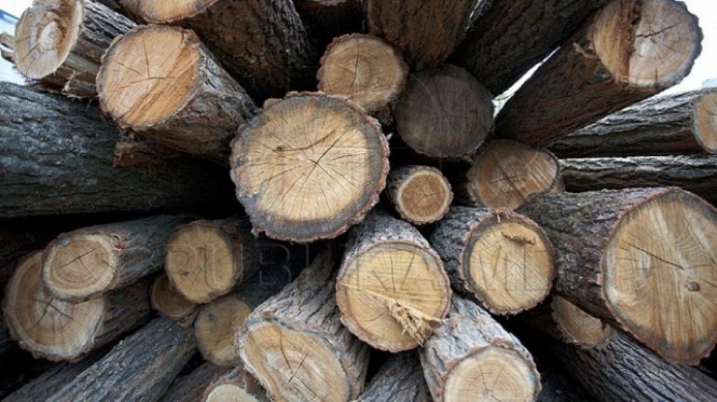 Transport ilegal de lemne descoperit în Cluj: șoferul, amendat cu o sumă de trei ori mai mare decât valoarea încărcăturii