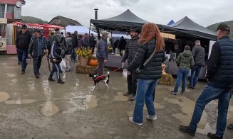 Cu Nelson Mondialu', ”pă mocirlă”, la Târgul de la Fechetău
