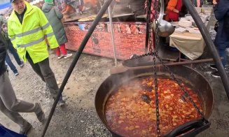 Cu Nelson Mondialu', ”pă mocirlă”, la Târgul de la Fechetău