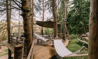 Cabană off-grid de vânzare în inima naturii, la doar câțiva kilometri de Cluj-Napoca. Prețul include și o mașină