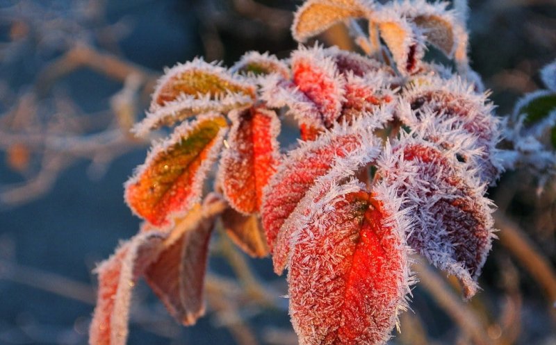 Masă de AER POLAR peste România. Urmează temperaturi la pragul înghețului