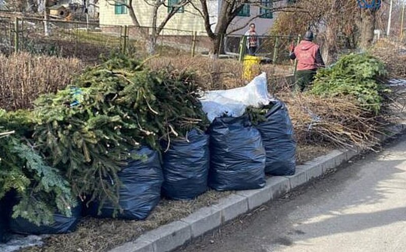 Campanie de colectare a deșeurilor vegetale (iarbă, crengi și frunze)