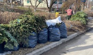 Campanie de colectare a deșeurilor vegetale (iarbă, crengi și frunze)