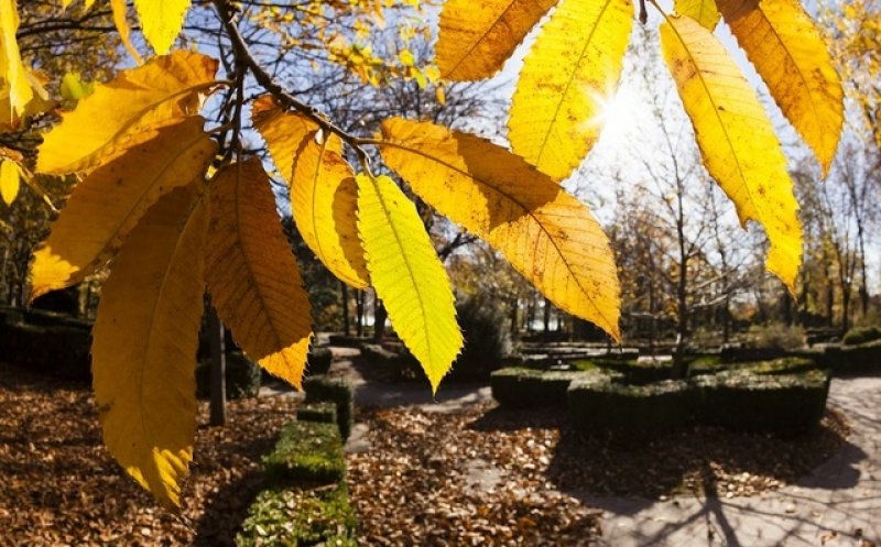 Două săptămâni cu temperaturi peste cele specifice, în toată ţara, începând din 20 octombrie