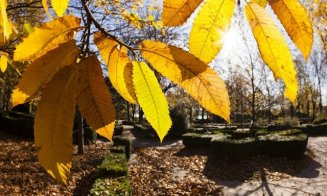 Două săptămâni cu temperaturi peste cele specifice, în toată ţara, începând din 20 octombrie