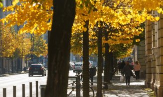 Clujul, în straie de toamnă. Emil Boc: "Parcurile și străzile orașului s-au îmbrăcat în culori calde și plăcute"