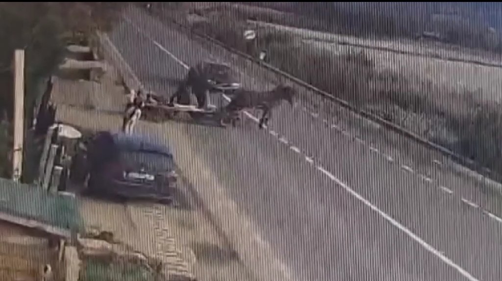 Accidentul cumplit din Sânpaul, Cluj, surprins de o cameră de supraveghere: o mașină a lovit în plin o căruță. Calul a murit, iar un tânăr a fost rănit