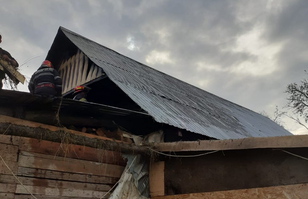 Foc în grajdul unei gospodării din Cluj: două tone de fân au ars. Zeci de porci au fost salvați