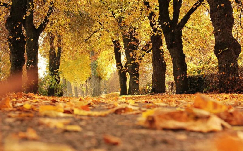 Temperaturi maxime în creștere până la sfârșitul lunii octombrie / Vreme mai rece și ploi, de la 1 noiembrie