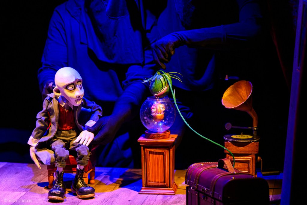 Spectacolul „Dracula. Despre cum am devenit monstru” pornește în turneu național